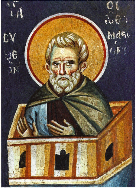St. Simeon the Stylites icon (1)