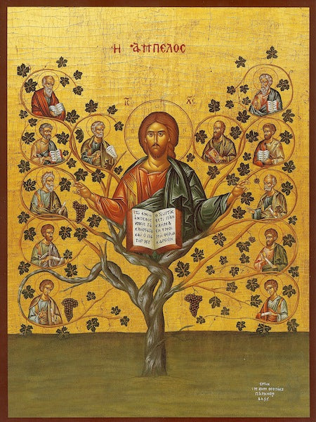 Jesus Christ  "The Vine" icon (1)